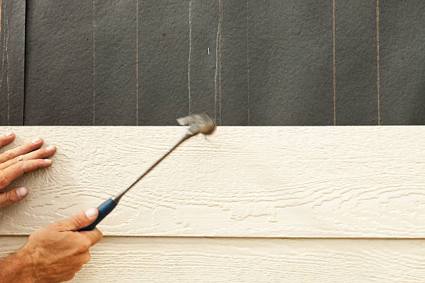 Best Insulated Siding Installation  in Columbus, GA